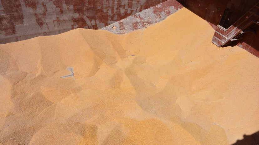 Лавров и Чавушоглу обсудили по телефону ситуацию вокруг зерновой сделки