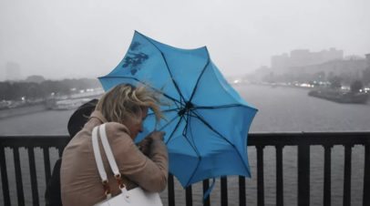 Городские службы Москвы переведены в режим повышенной готовности из-за ожидаемой непогоды