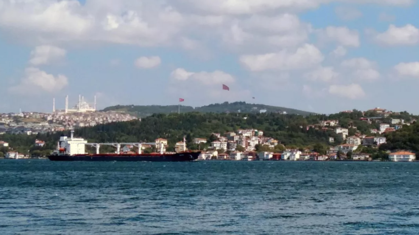 Глава МО Турции сообщил, что проинформировал Шойгу о позиции Киева по зерновой сделке