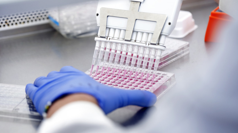 В Крыму зарегистрировали 24 случая COVID-19 за сутки