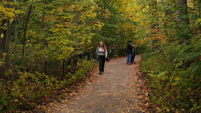 Спортсмен Лосев назвал плавание одним из видов повседневной физической активности