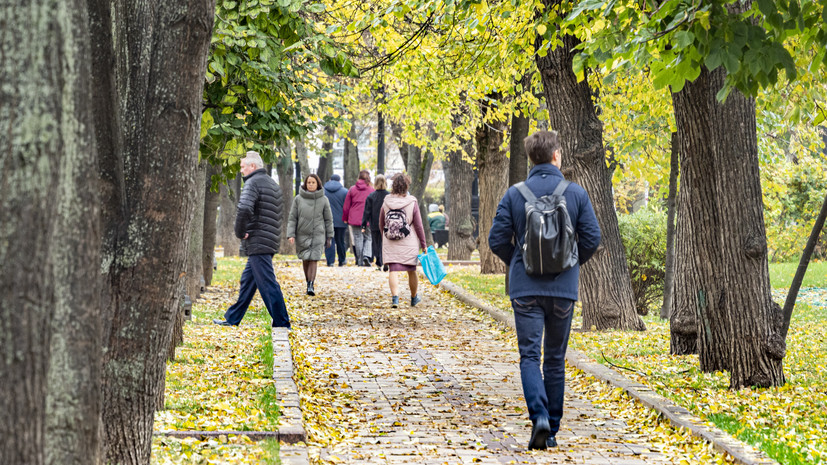 В парках Подмосковья побывали более 48 млн человек с начала года