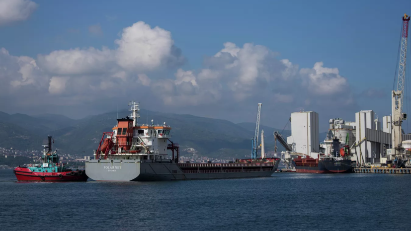 В Турции заявили о желании Эрдогана обсудить с Путиным поставки зерна в нуждающиеся страны