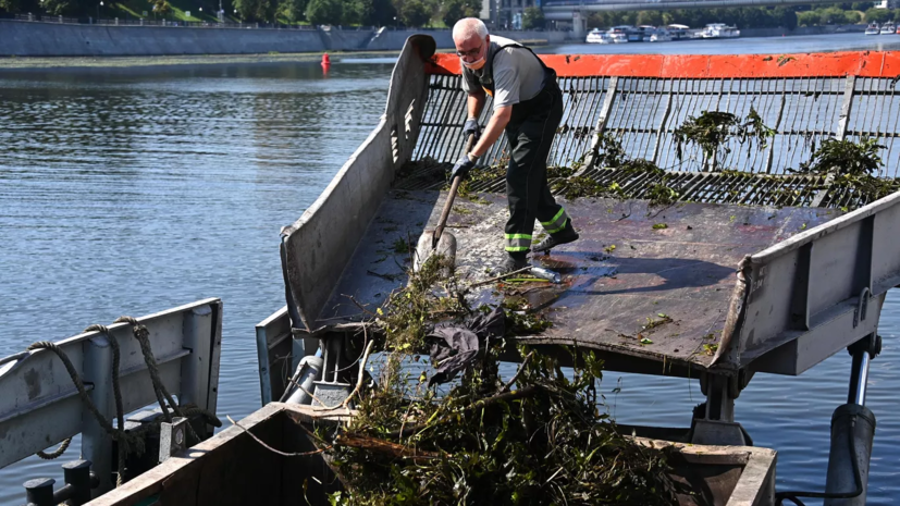 В акватории Москвы собрали около 600 т мусора в 2022 году