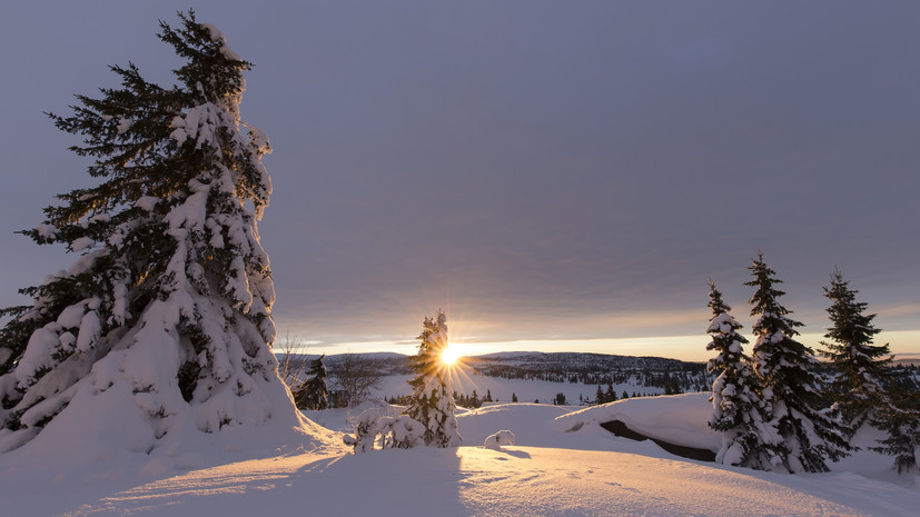 Первый этап Кубка IBU в норвежском Шушене отменён из-за отсутствия снега