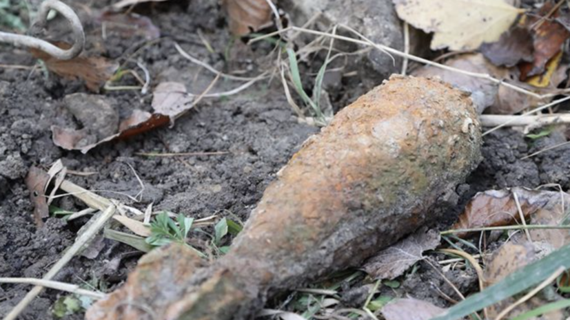 На Кубани грибники обнаружили схрон со снарядами военных лет