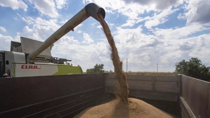 Координационный центр в Стамбуле продолжает работу по экспорту зерна с Украины