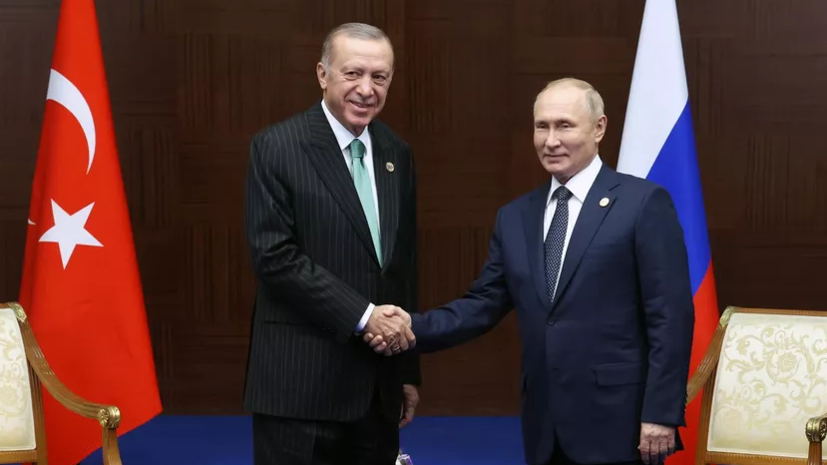 Путин и Эрдоган обсудили детали создания газового хаба в Турции