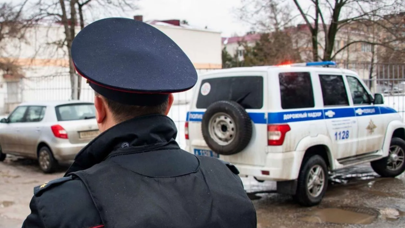 Полиция задержала подозреваемого в убийстве девушки на юго-западе .