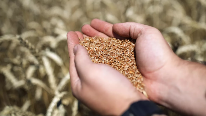 В ООН выразили надежду на продление зерновой сделки через 120 дней