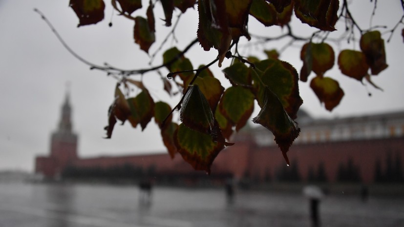 Синоптик Позднякова заявила, что 22 ноября может стать самым тёплым днём недели в Москве