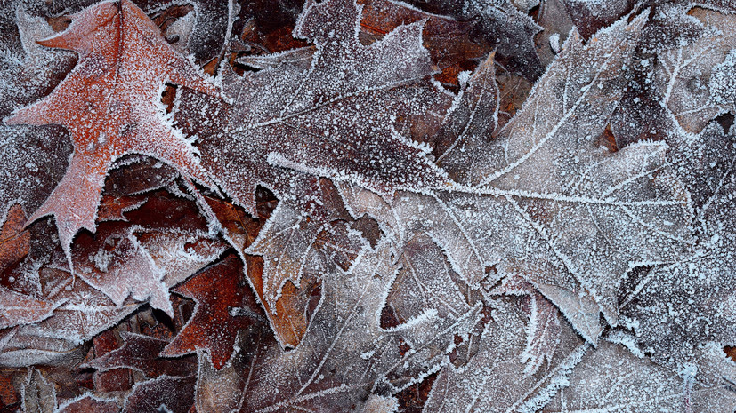 В Приморье ожидается похолодание до -30 °C к 1 декабря