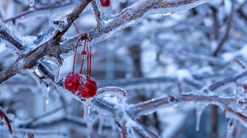 Синоптик Тишковец призвал соблюдать особую осторожность во время ледяных дождей