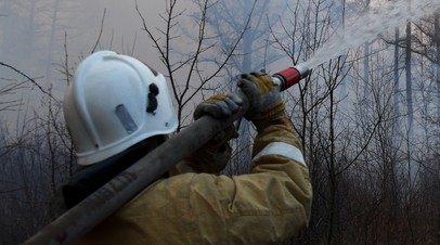В 2023 году на борьбу с пожарами Карелия получит 317 млн рублей из федерального бюджета