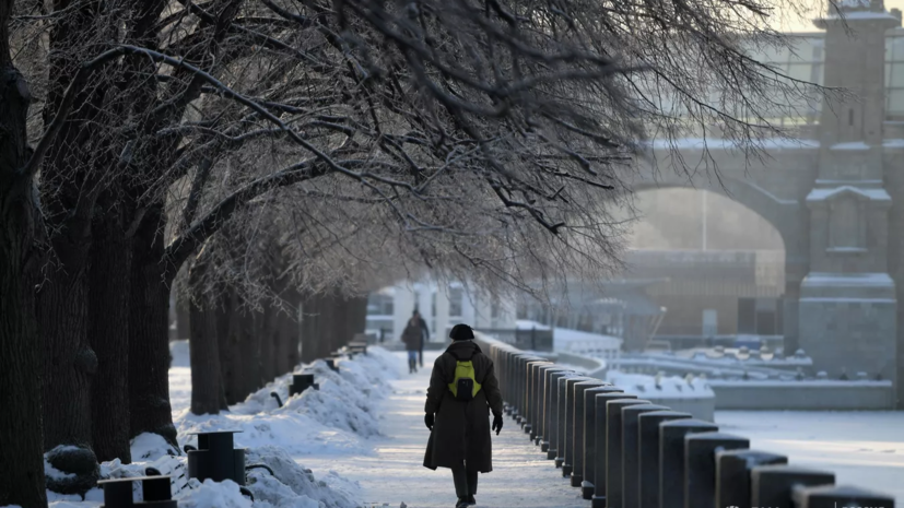 Синоптик спрогнозировал выпадение в Москве около 40% месячной нормы снега 9 декабря