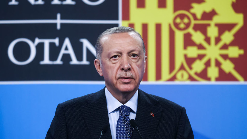 Эрдоган: Турция ведёт подготовительные работы по проекту газового хаба