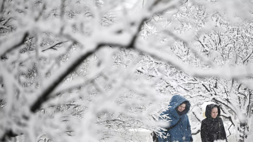 В Удмуртии спрогнозировали продолжительные снегопады с 9 декабря