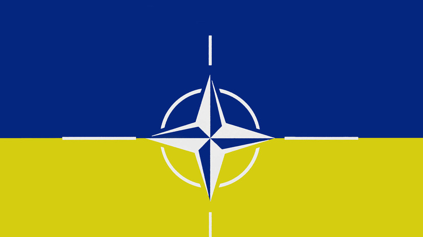 NDP: без поддержки НАТО боевые действия на Украине закончатся в течение недели