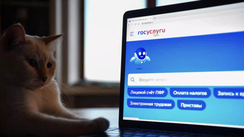 В Подмосковье на «Госуслугах» оформили более 24 тысяч справок о льготах и выплатах