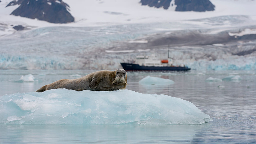 Politico: Россия опережает США в борьбе за Арктику