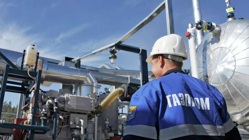 Путин запретил «Газпрому» покупать газ у СП с Wintershall и OMV выше установленной цены