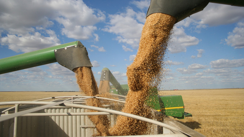 Правительство России выделило 800 млн рублей на закупку и поставку пшеницы Кубе