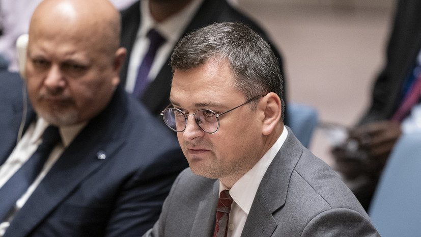Глава МИД Украины Кулеба заявил о планах предложить исключение России из Совбеза ООН