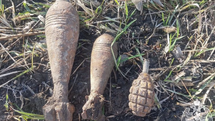 В Краснодарском крае обезвредили 11 боеприпасов времён Великой Отечественной войны