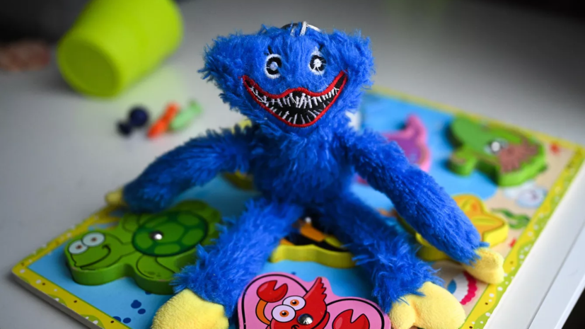 Роскачество: российские интернет-магазины снимают с продажи детские игрушки «Хагги Вагги»
