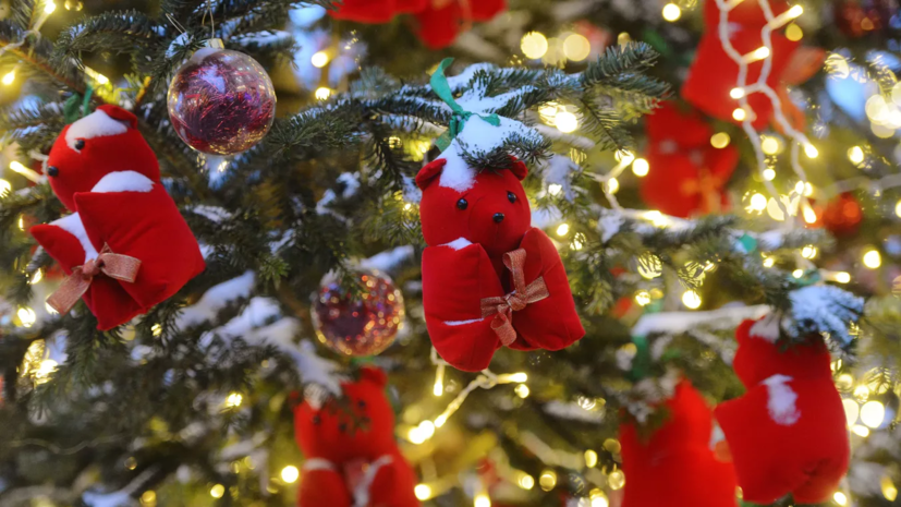 Специалист Кузнецов посоветовал покупать гирлянды с гарантийными талонами