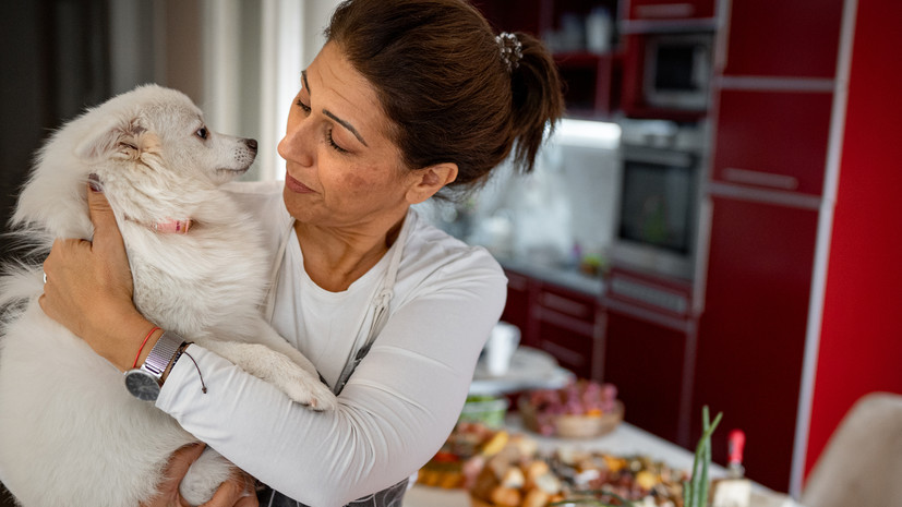Ветврач Корочева посоветовала не кормить питомцев едой с праздничного стола