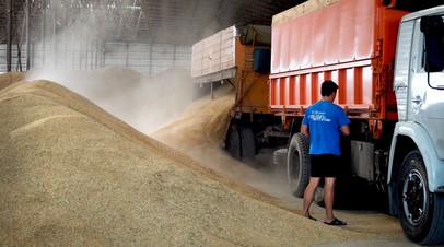 Всем заинтересованным странам: в МИД заявили о готовности России полностью заместить поставки украинского зерна