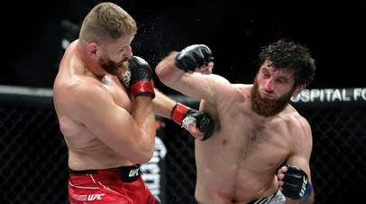 Бойцы UFC Ян Блахович и Магомед Анкалаев