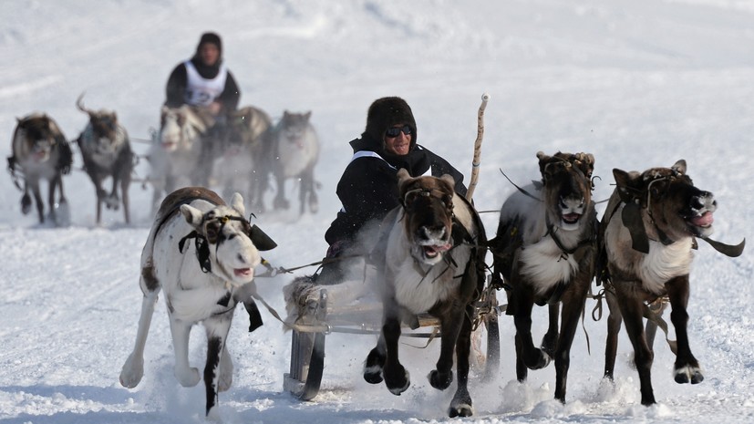 В населённых пунктах Ямала с 25 февраля будут отмечать День оленевода