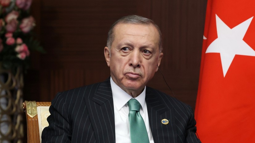 Эрдоган заявил о готовности Анкары выступить посредником в урегулировании на Украине