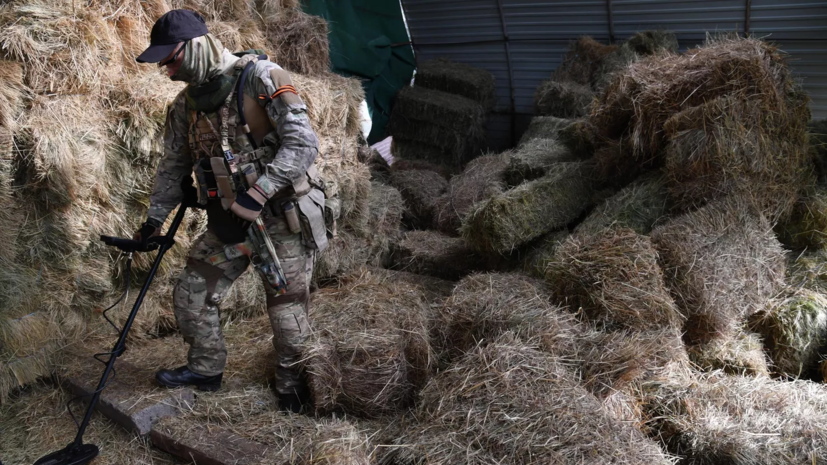 На севере ЛНР обнаружили схрон с оружием и боеприпасами ВСУ