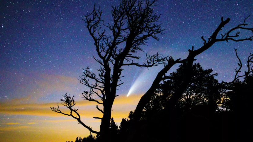 Специалист Рублёва назвала начало февраля лучшим временем для наблюдения за кометой C/2022 E3 (ZTF)