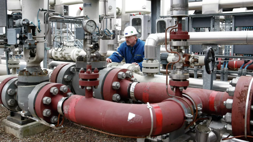 Специалист Демидов высказался о ситуации с запасами газа и нефти в Германии