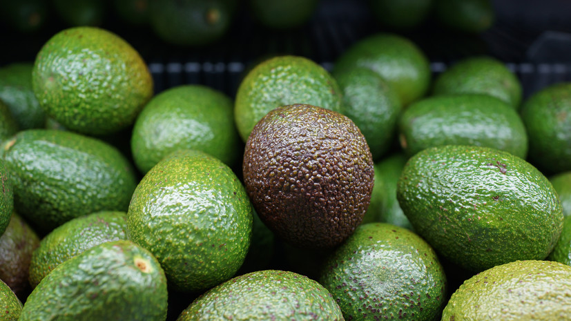 Диетолог Круглова дала советы по выбору качественного авокадо