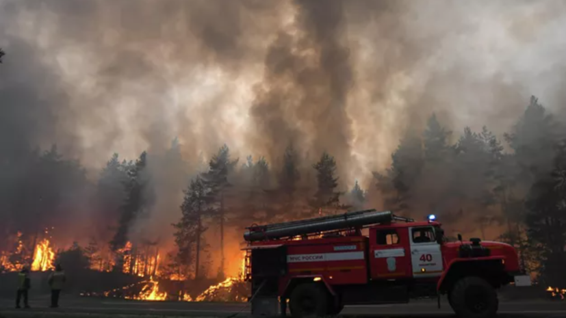 Подмосковье выделит более 100 млн рублей на закупку техники для тушения лесных пожаров
