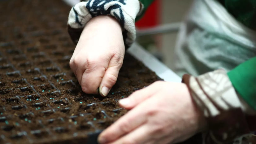 В Тюменской области рассказали о подготовке к посевной