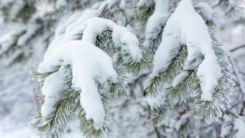 В Ростовской области с 28 января ожидаются снегопады и морозы