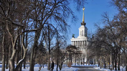 На ВДНХ рассказали об интерактивном Музее лошади