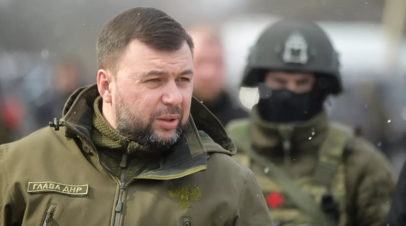 Пушилин: Запад видит Украину как ресурс, который не жалко