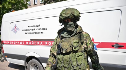 Сапёры занимаются разминированием Мариупольского зоопарка после обстрелов
