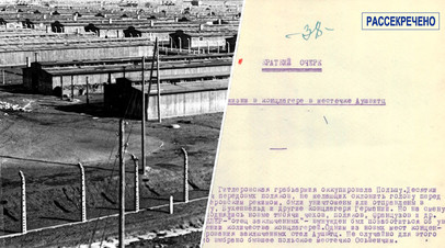 Концлагерь Освенцим / Свидетельства бывшего узника Освенцима Павла Гавриша