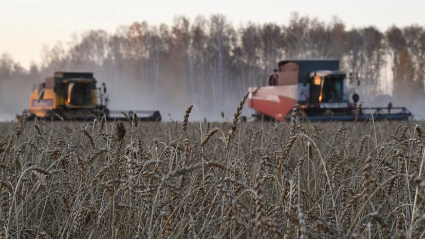Росстат: производство продукции сельского хозяйства в России в 2022 году выросло на 10,2%