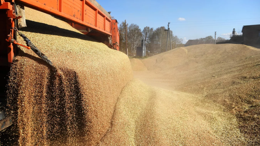 Польские фермеры устроили акцию против массовых поставок украинского зерна