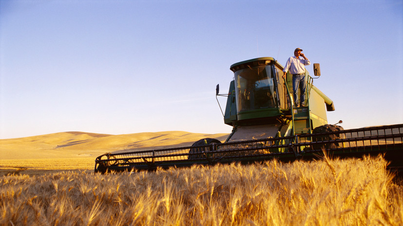 Размер федеральной поддержки фермеров на 2023 год увеличат до 14 млрд рублей