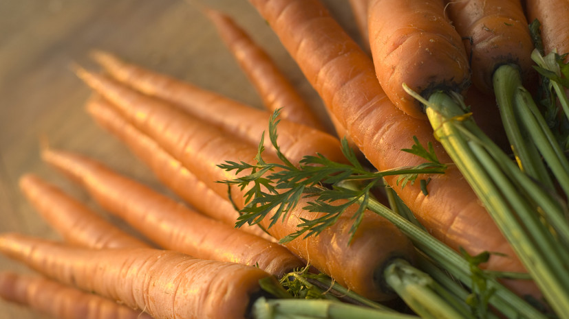 Диетолог Соломатина заявила о пользе моркови для пожилых